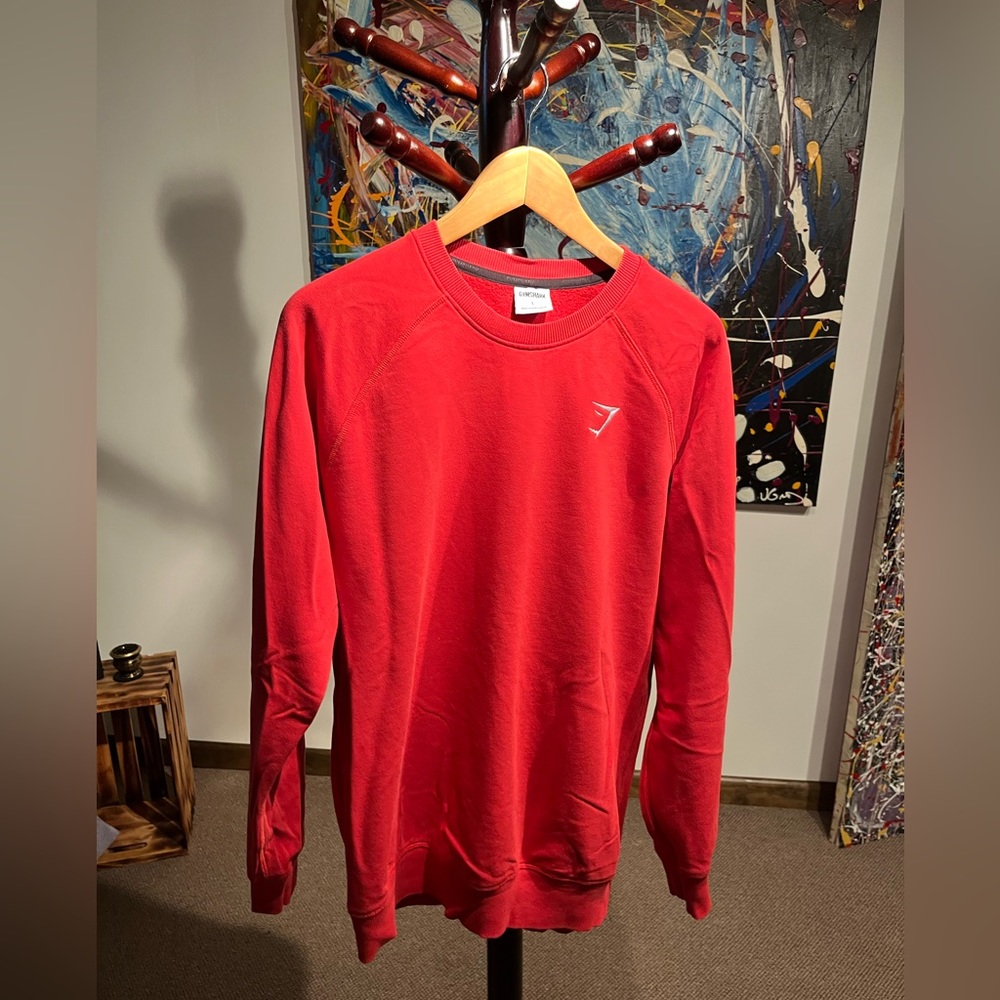 Gym shark sweatshirt